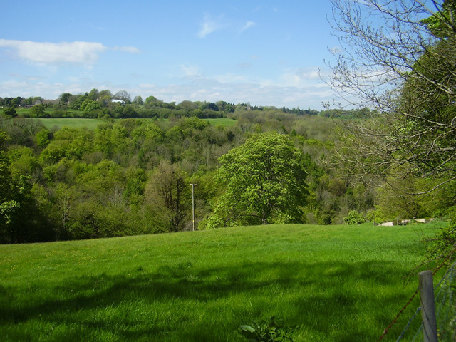 Toadsmoor Valley in the spring