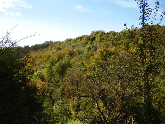 Toadsmoor Valley in the autumn