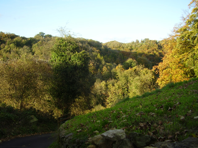 Toadsmoor Valley in the autumn