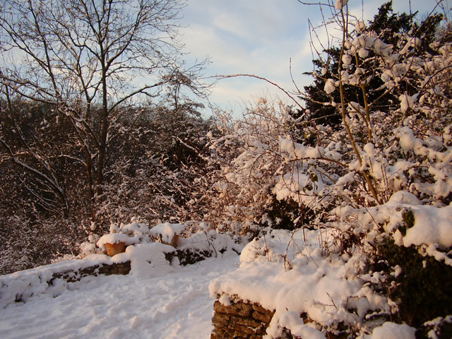 Toadsmoor Valley in the winter